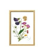Framed Field Flowers by ONE OF ONE