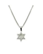 Large Stainless Steel Solid Star of David Necklace