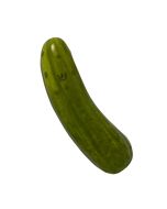 Pickle Mezuzah by Shana Ostrowiecki