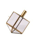 Talia Dreidel Terrarium by Adara Rituals: Large