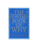 The Jewish Book of Why