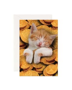 Hanukkah Notecard: Cat in Gelt