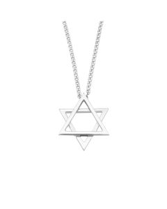 Hidden Star of David Necklace by Flor Aviv: Large