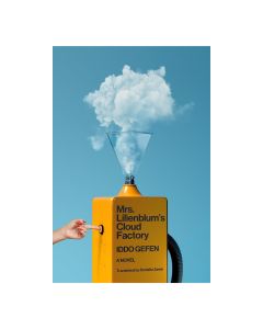 Mrs. Lilienblum's Cloud Factory: A Novel