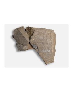 Postcard: Tel Dan Stele